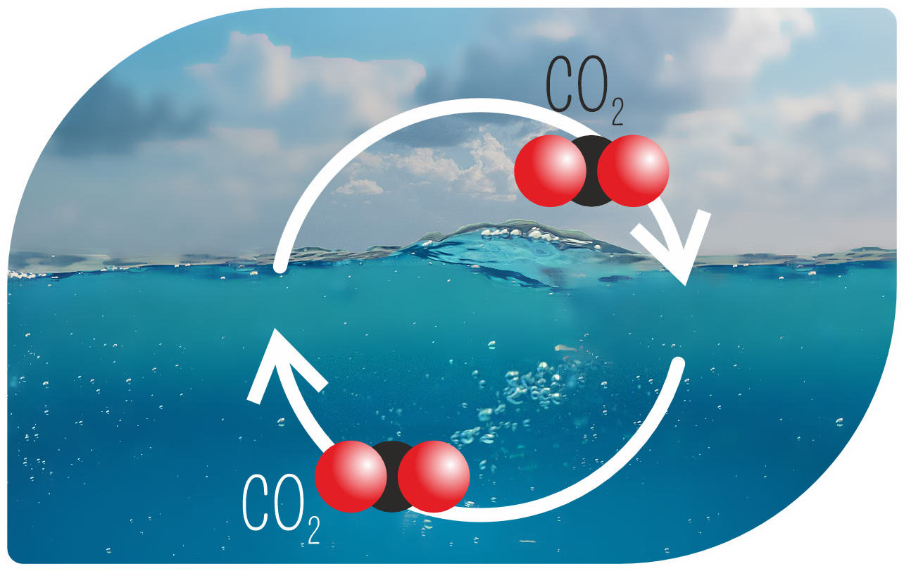 Equilibre du CO2 entre l'atmosphère et l'océan