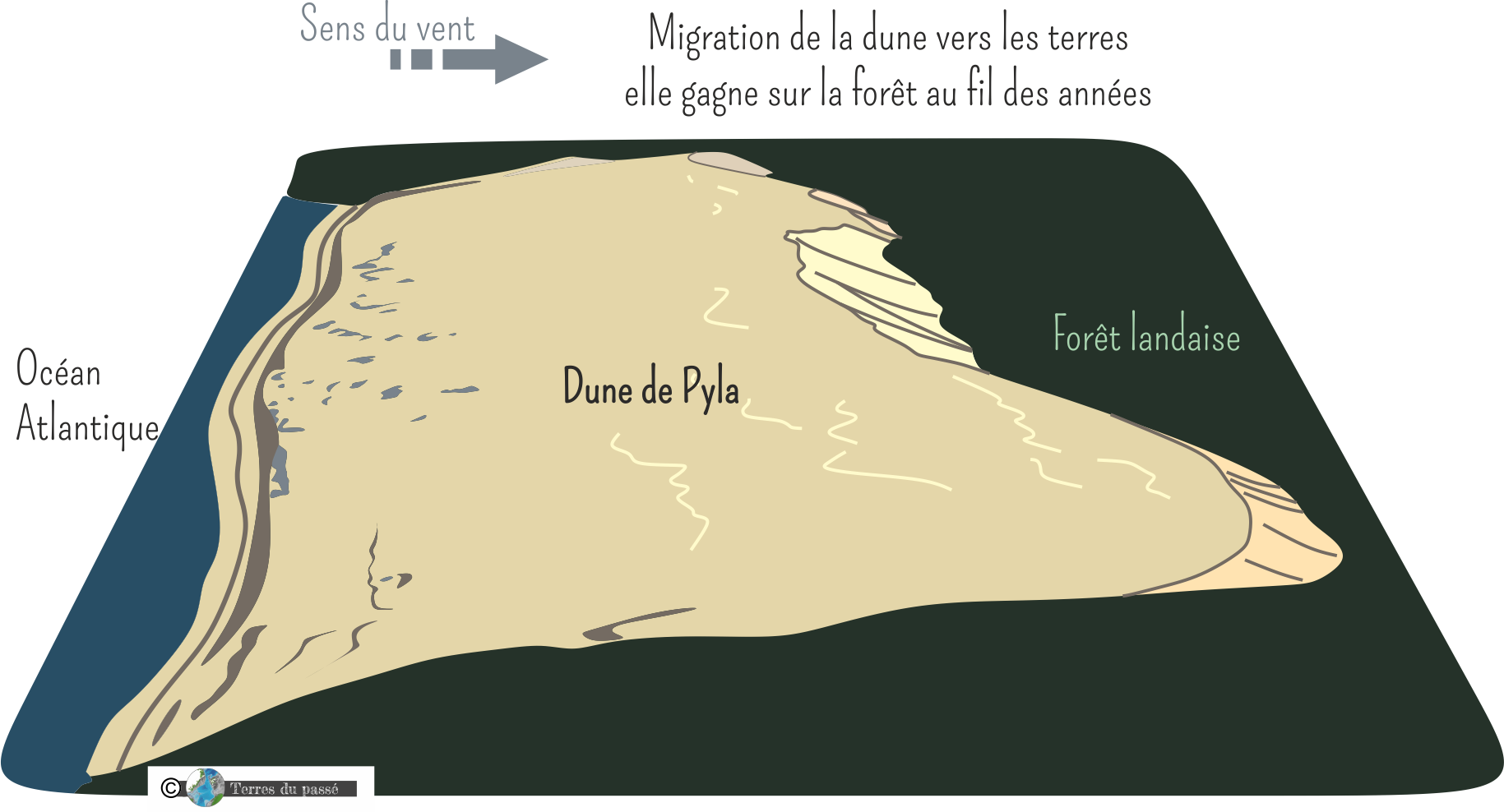 Dune du Pilat, dune de Pyla, mouvement de dune