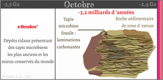 Calendrier de l univers ramené sur une échelle d une année - Octobre 1