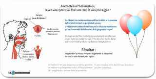 Anecdote sur l hélium et son action sur le déplacement du son dans nos cordes vocales