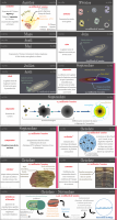 Calendrier de l univers ramené sur une échelle d une année - Quelques mois