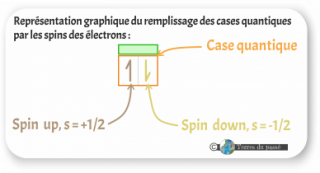 Remplissage des spin des cases quantiques - tableau périodique des éléments