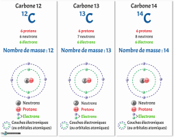 Les isotopes du carbone