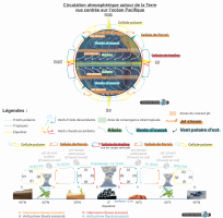 La circulation atmosphérique globale schématisée