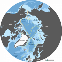 Carte de l Arctique - courants marins de surface