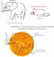 Rapport de poids et de taille entre la Terre et le Soleil