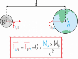 Principe de la gravitation