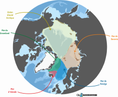 Carte de l arctique - les bassins arctiques