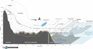 Ice-shelf - version 2