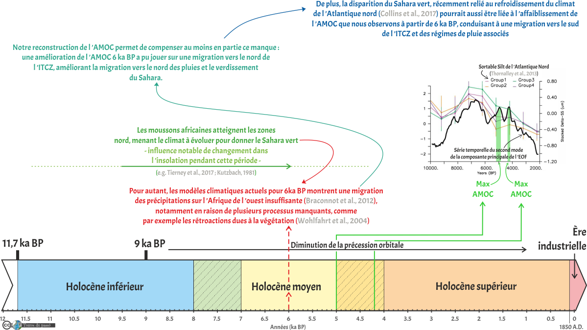 Chronologie de l'AMOC sur la période de l'Holocène inférieur, holocène moyen et holocène supérieur