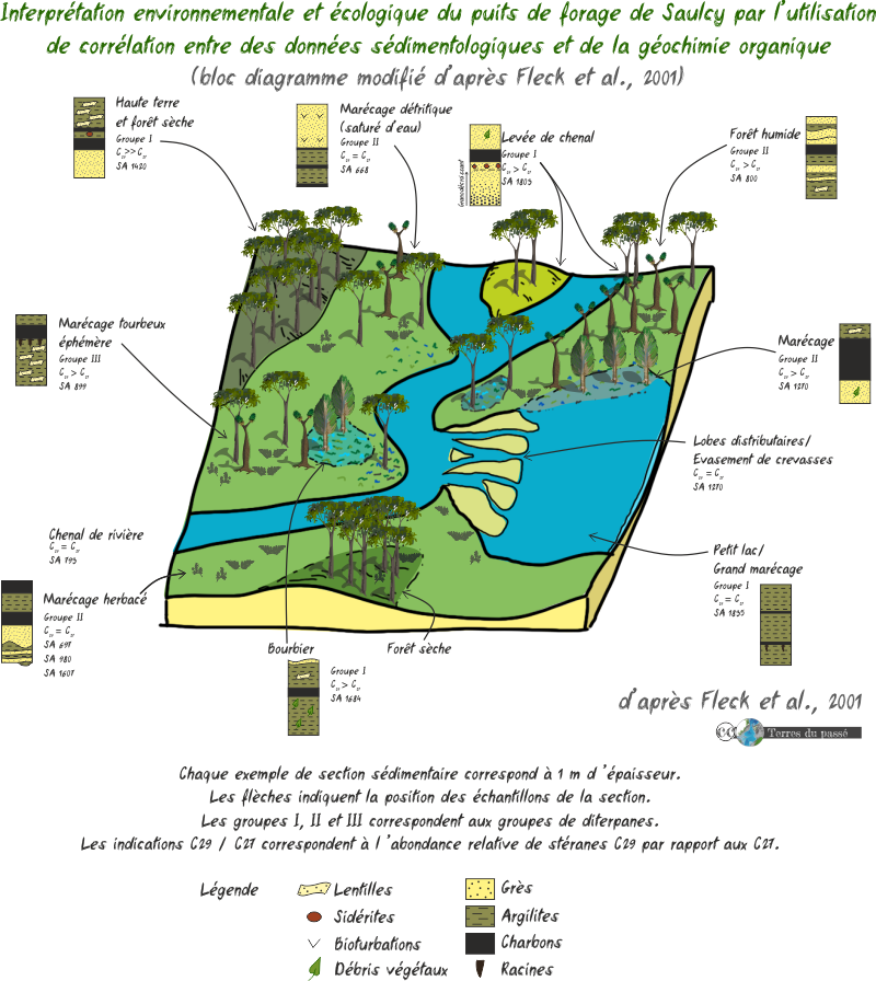 Reconstruction paléoenvironnementale et paléécologique du bassin de charbon de Lorraine