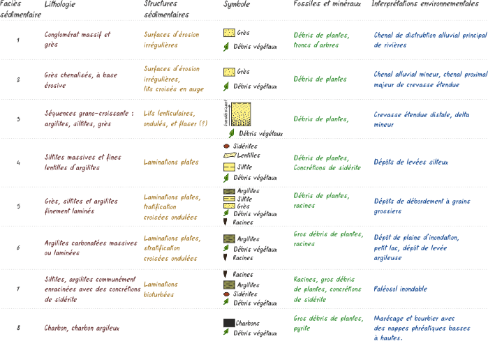 Characteristics and environmental interpretations of the fluvio-limnic facies recognized in the Saulcy borehole of the Lorraine coal basin