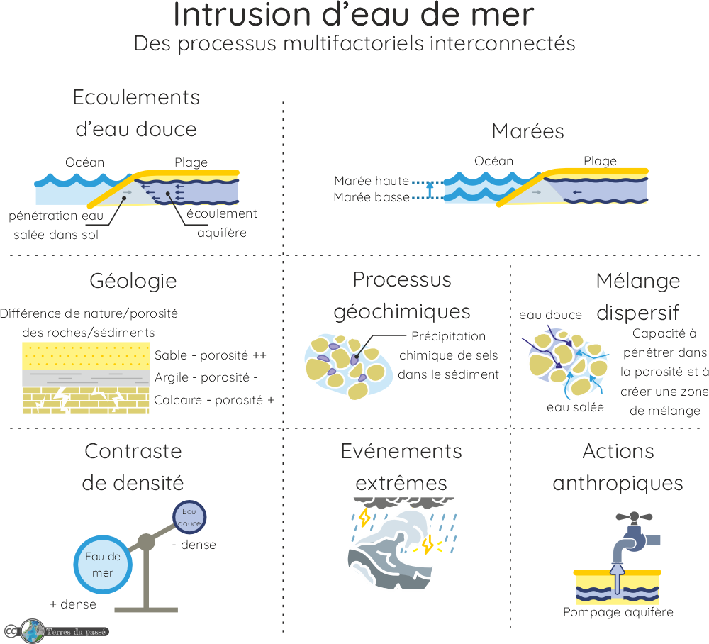 processus multifactoriel d'intrusion d'eau de mer