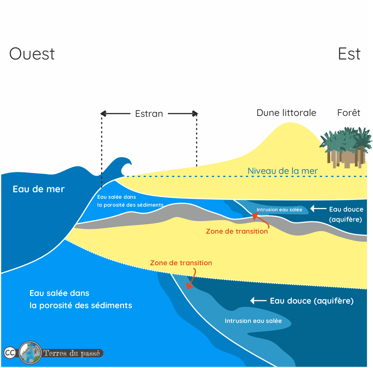Seawater intrusion processes, investigation and management: Recent advances and future challenges
