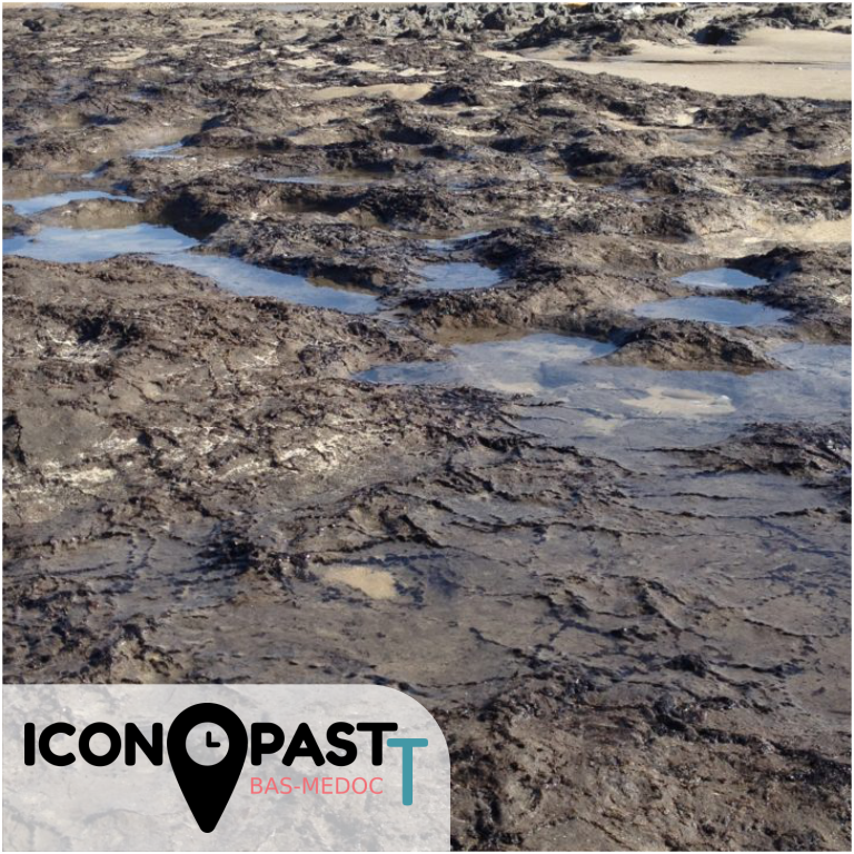 Une histoire archéologique riche