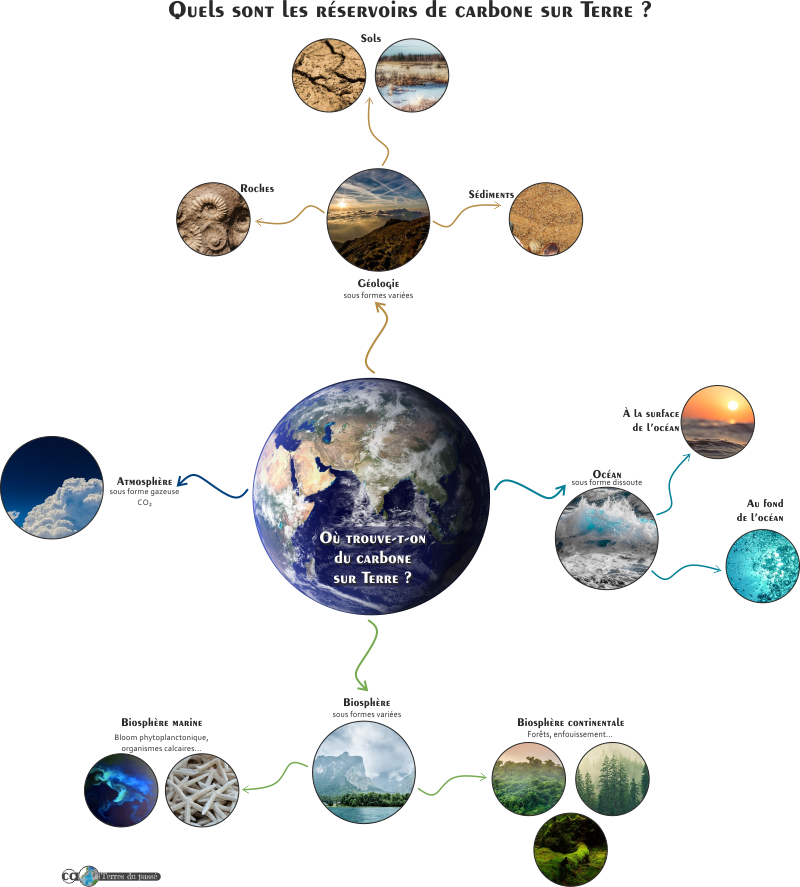Les différents réservoirs sur Terre pour le carbone