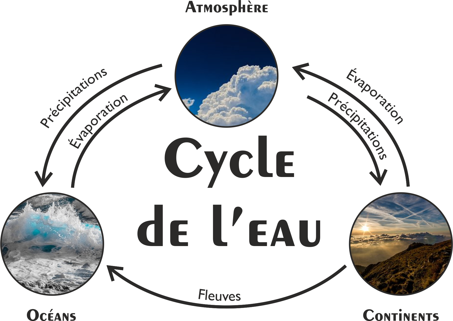 Le cycle de l
