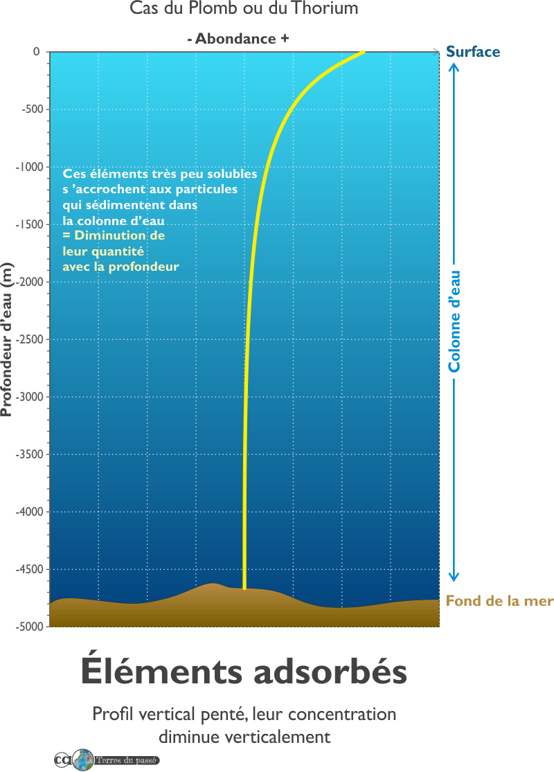 les éléments chimiques adsorbés ont une concentration décroissante avec la profondeur