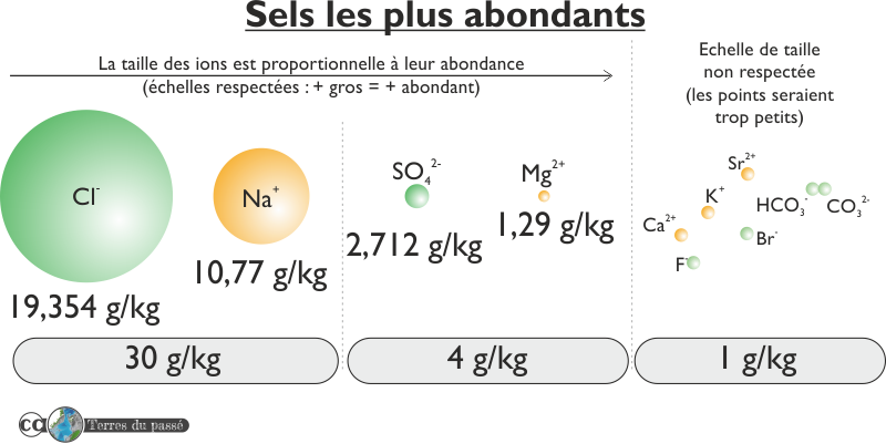 Sels les plus abondants dans l'eau de mer standars : Na+, Cl-, Mg2+, SO42-