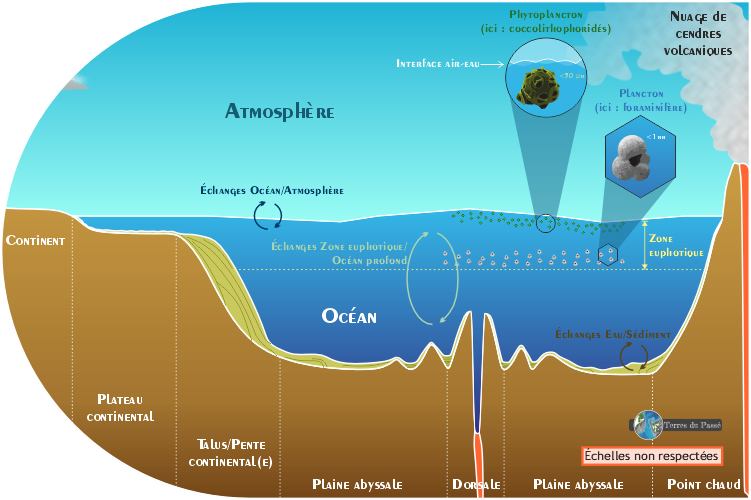Analyse de flux entre l'océan et l'atmosphère, entre la zone euphotique et l'océan profond, entre l'eau et les sédiments, dans le cadre du programme JGOFS
