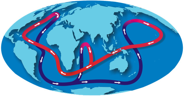 Circulation thermohaline simplifiée NOAA