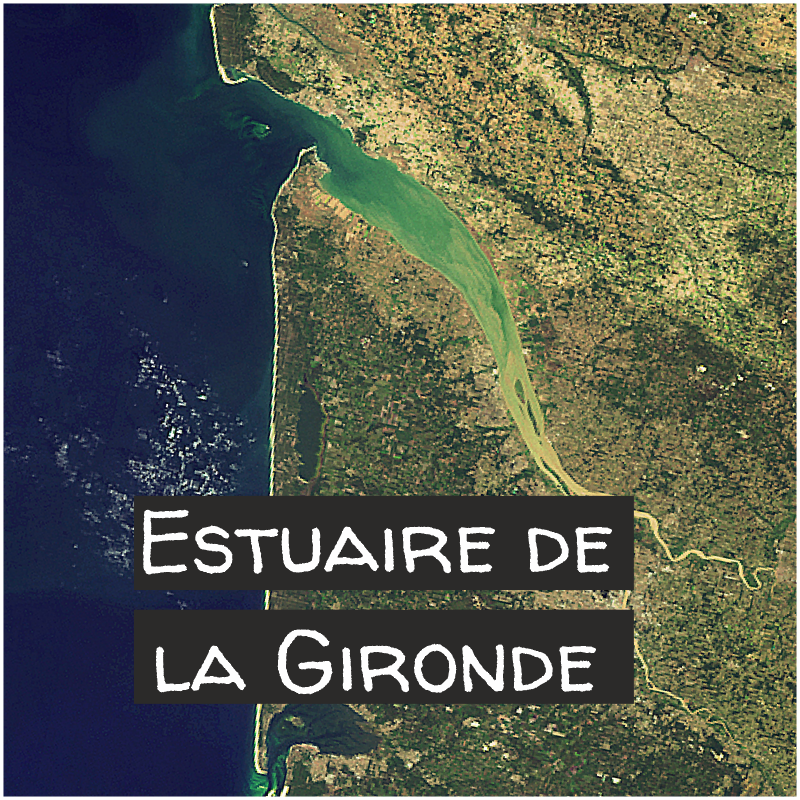 L'estuaire de la Gironde - Partie 01 - Fonctionnement hydrodynamique et s&eacute;dimentaire