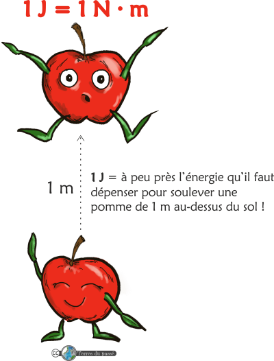 1 J = environ l'énergie à dépenser pour soulever une pomme de 1 m au-dessus du sol