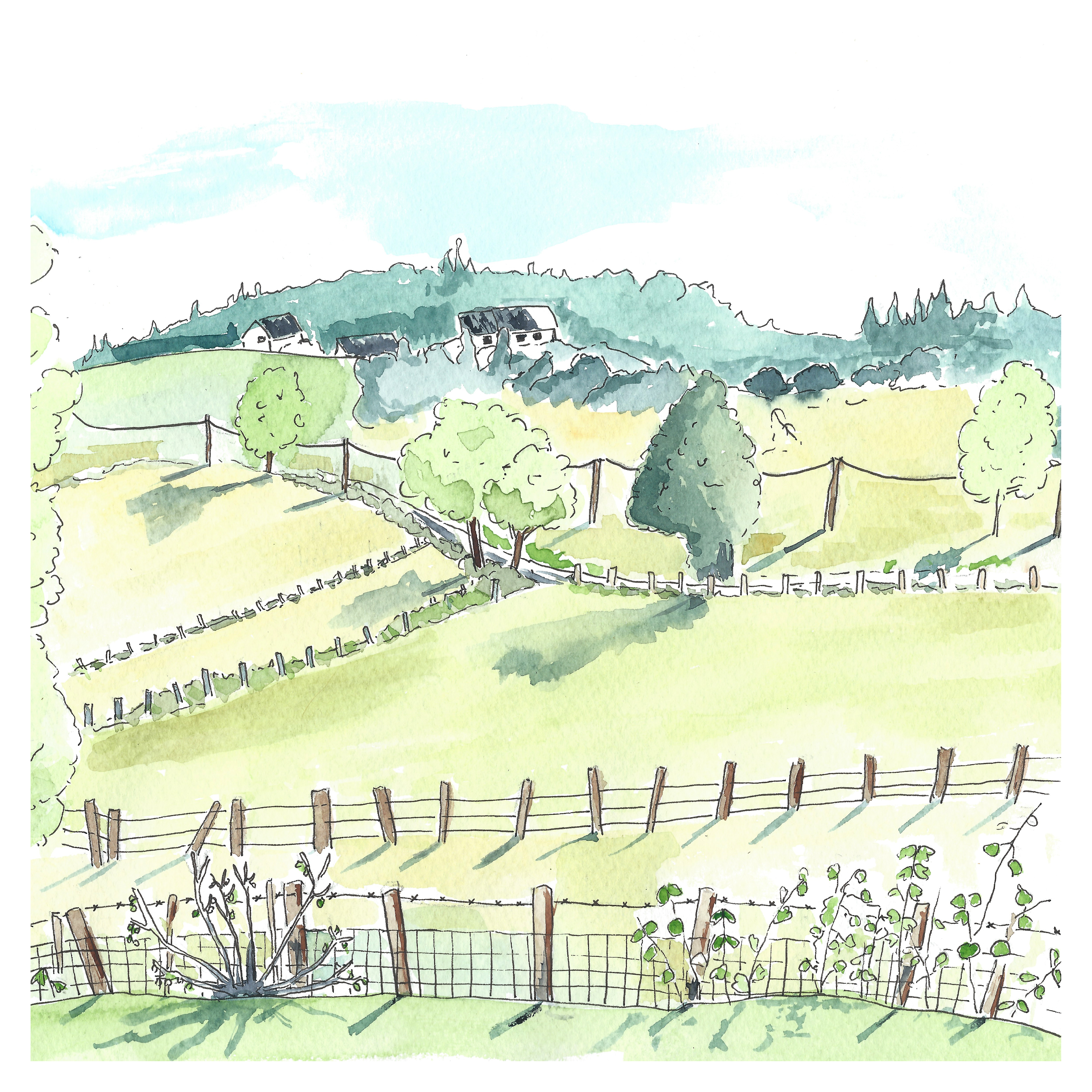 Le Réseau Régional de Recherche Futurs-ACT