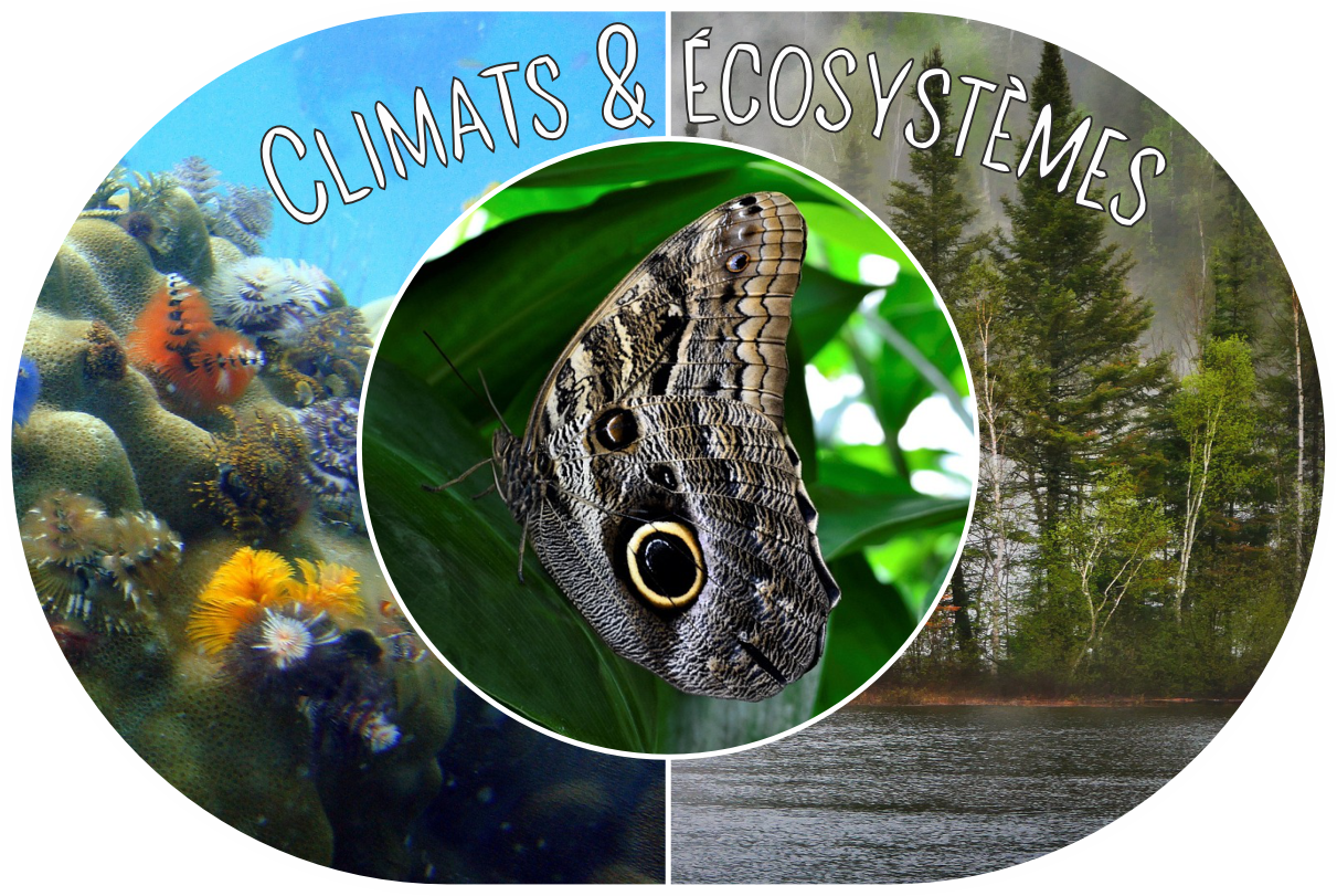 Climats & Écosystèmes climatiques