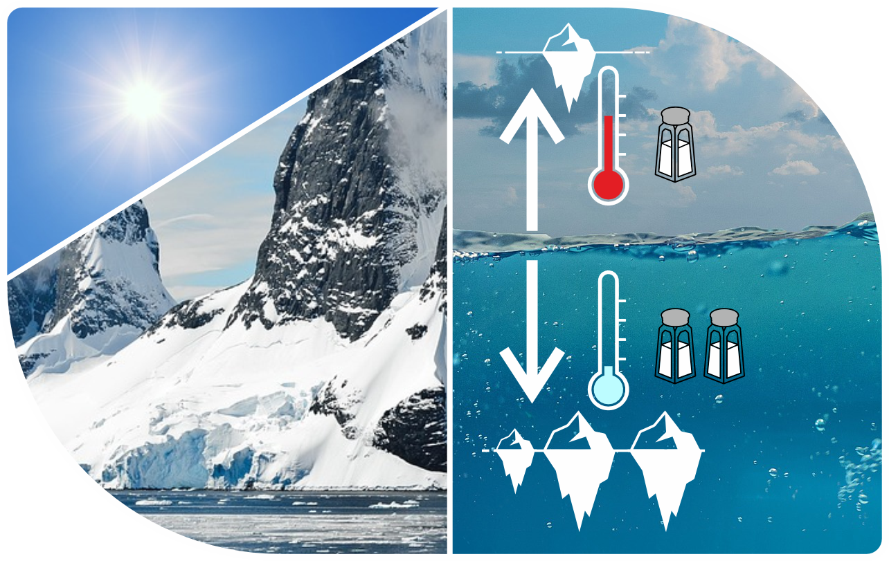 Les coraux pour reconstruire le volume de glace, la température et la salinité de la surface de la mer