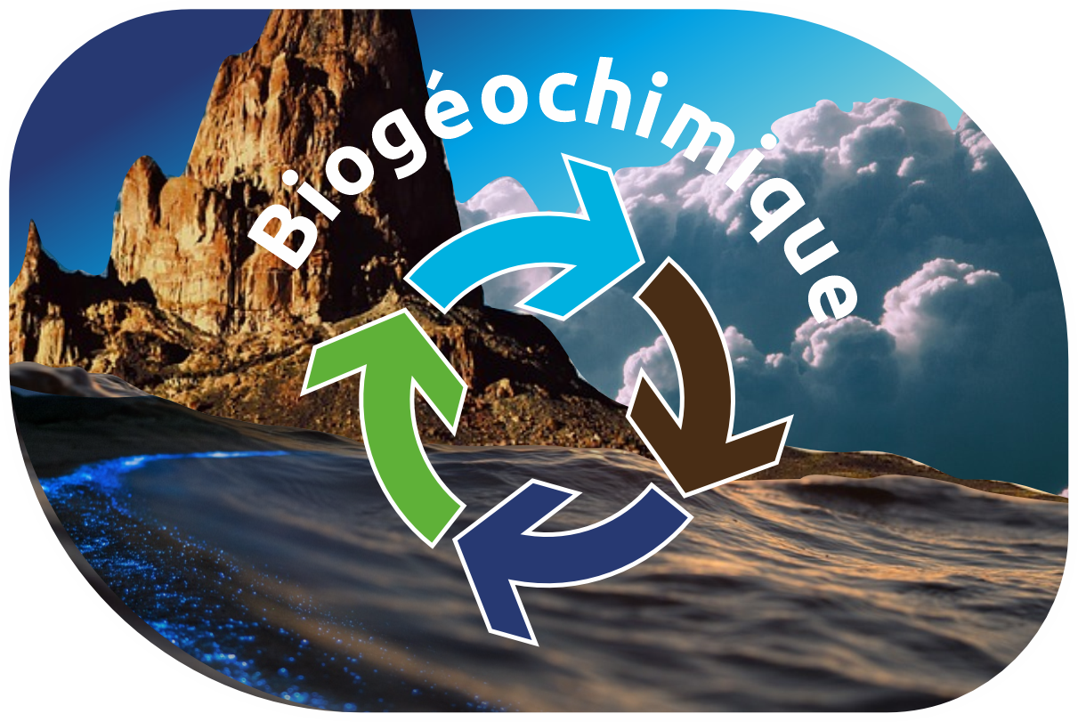 Les cycles biogéochimiques