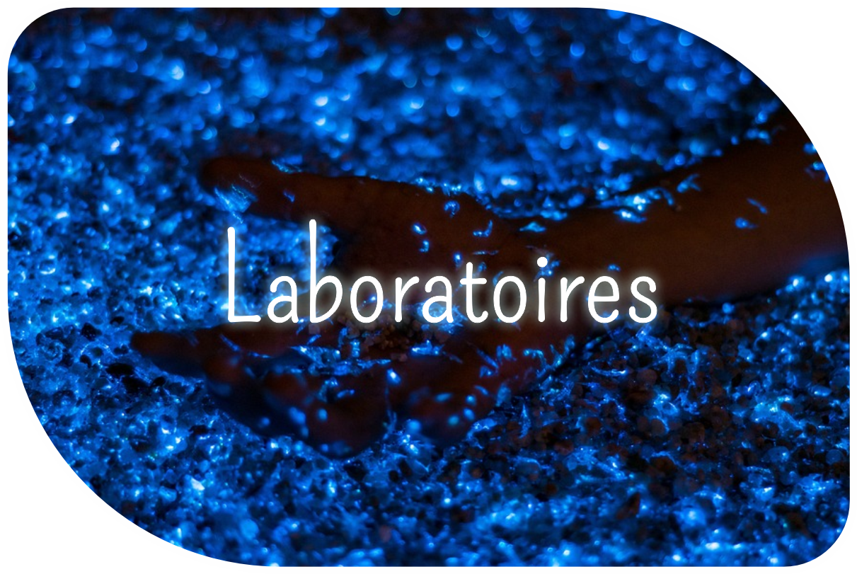 Laboratoires de recherche