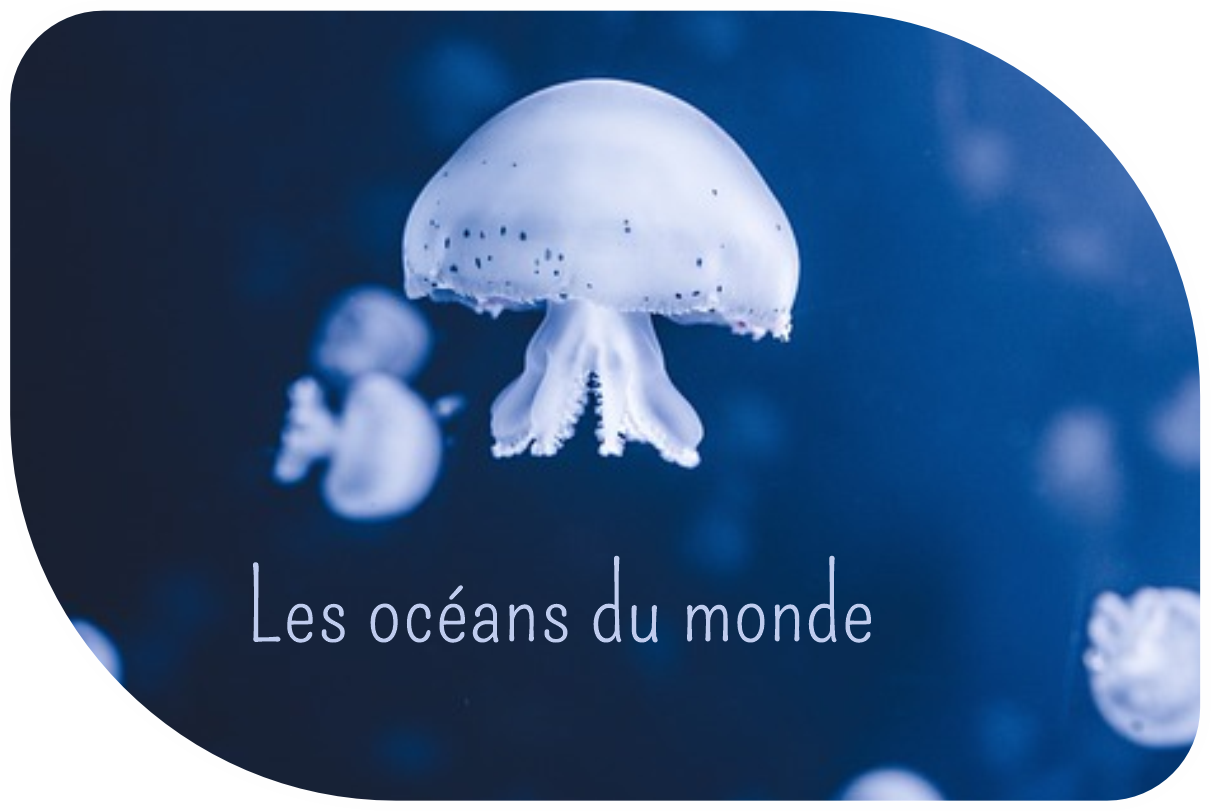 Le tour des grands océans du monde