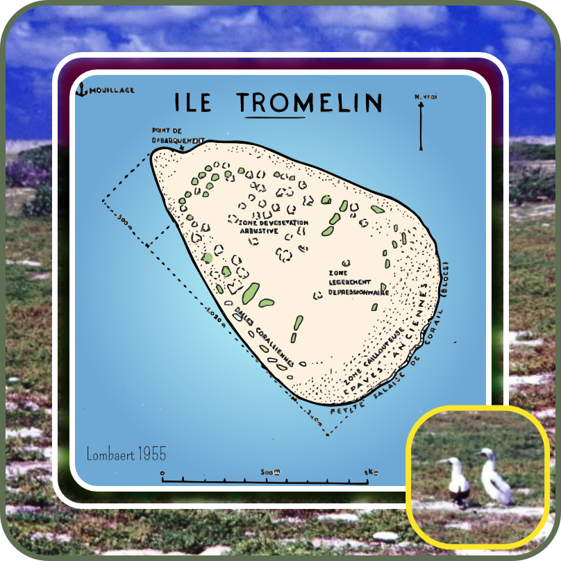 Spécial Halloween 2023 - île Tromelin - Ep.01 - Grain de sable dans l'océan