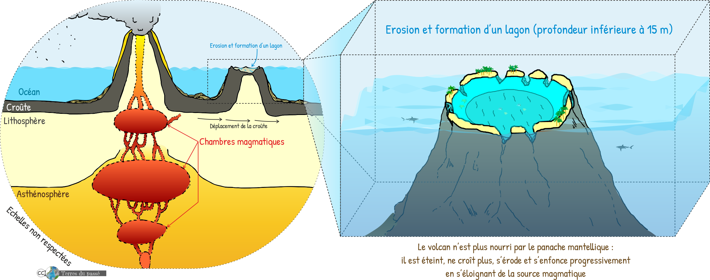 Volcanisme de point chaud, stade 2 : la croûte océanique se décale et le premier volcan formé n'est plus au-dessus du point chaud. Il s'éteint, s'érode et devient un atoll