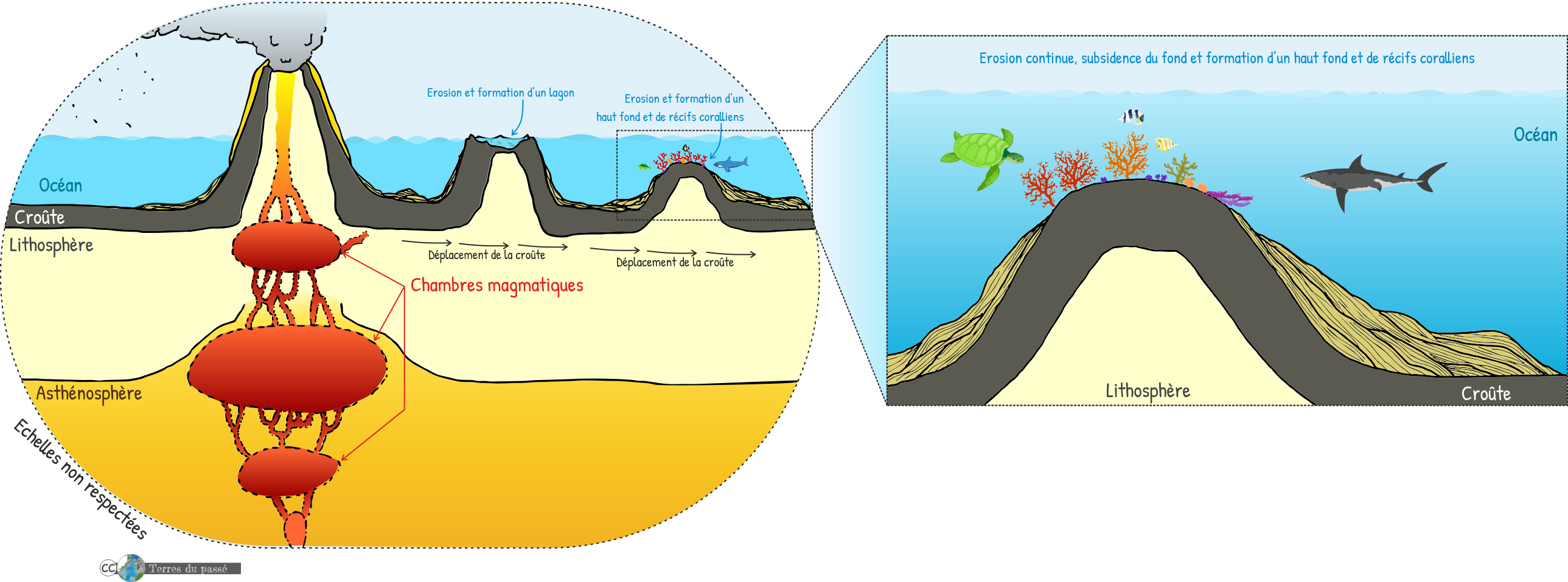 Volcanisme de point chaud, stade 3 : la croûte continue de se décaler, un nouveau volcan se forme, on parle de chaîne de monts sous-marins et d'archipel quand cela forme plusieurs îles, le plus ancien volcan est érodé et la croûte océanique, vieille et lourde, subside, donc s'enfonce, ce qui fait que le premier volcan devenu un atoll devient ensuite un haut fond permettant le développement de récifs coralliens. 