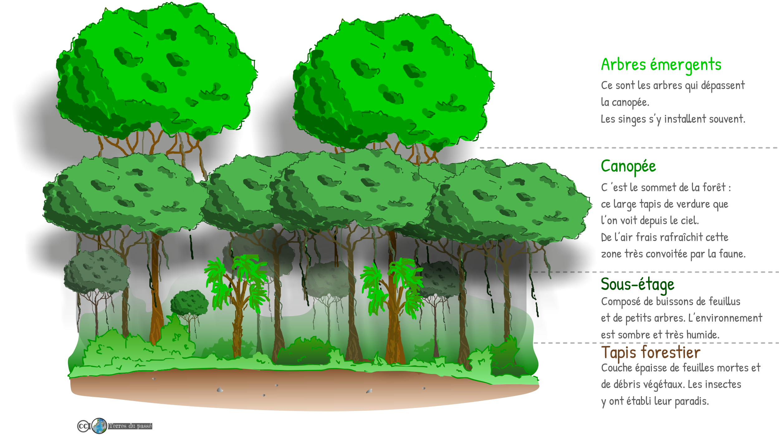 Arbres, fôrets et autres végétations - Tutos et conseils - Le