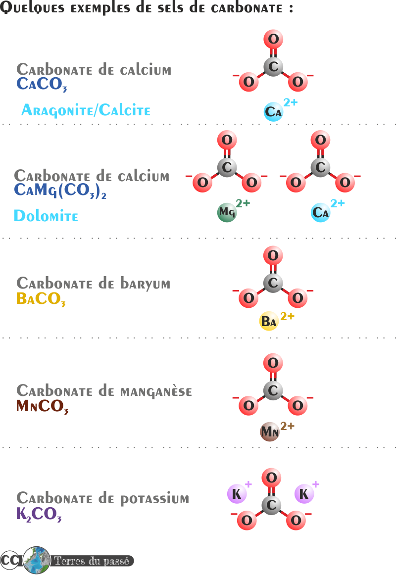 Quelques exemples de carbonates : le carbonate de calcium (calcite, aragonite, dolomite), le carbonate de baryum, le carbonate de manganèse, le carbonate de potassium