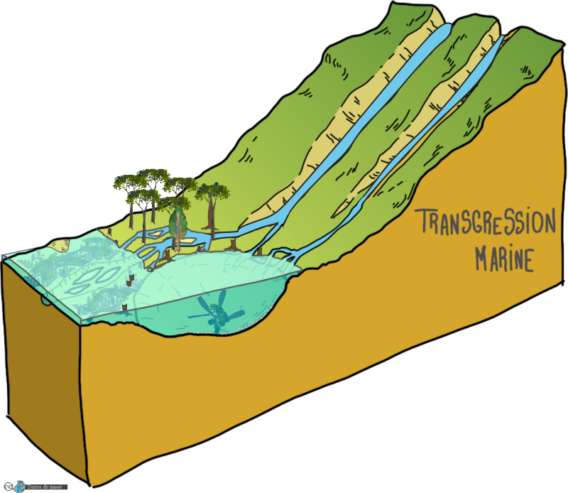 Bloc diagramme 3D - reconstitution paléoenvironnementale des étapes de formation des charbons carbonifères - étape 2