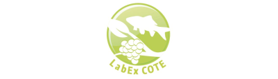 LabEx COTE