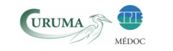 logo Curuma et CPIE Médoc