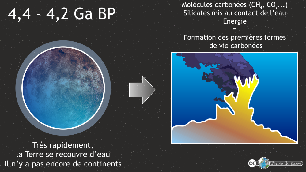 Formation des premières formes de vie carbonées au  niveau des cheminées hydrothermales durant le stade précoce de la Terre