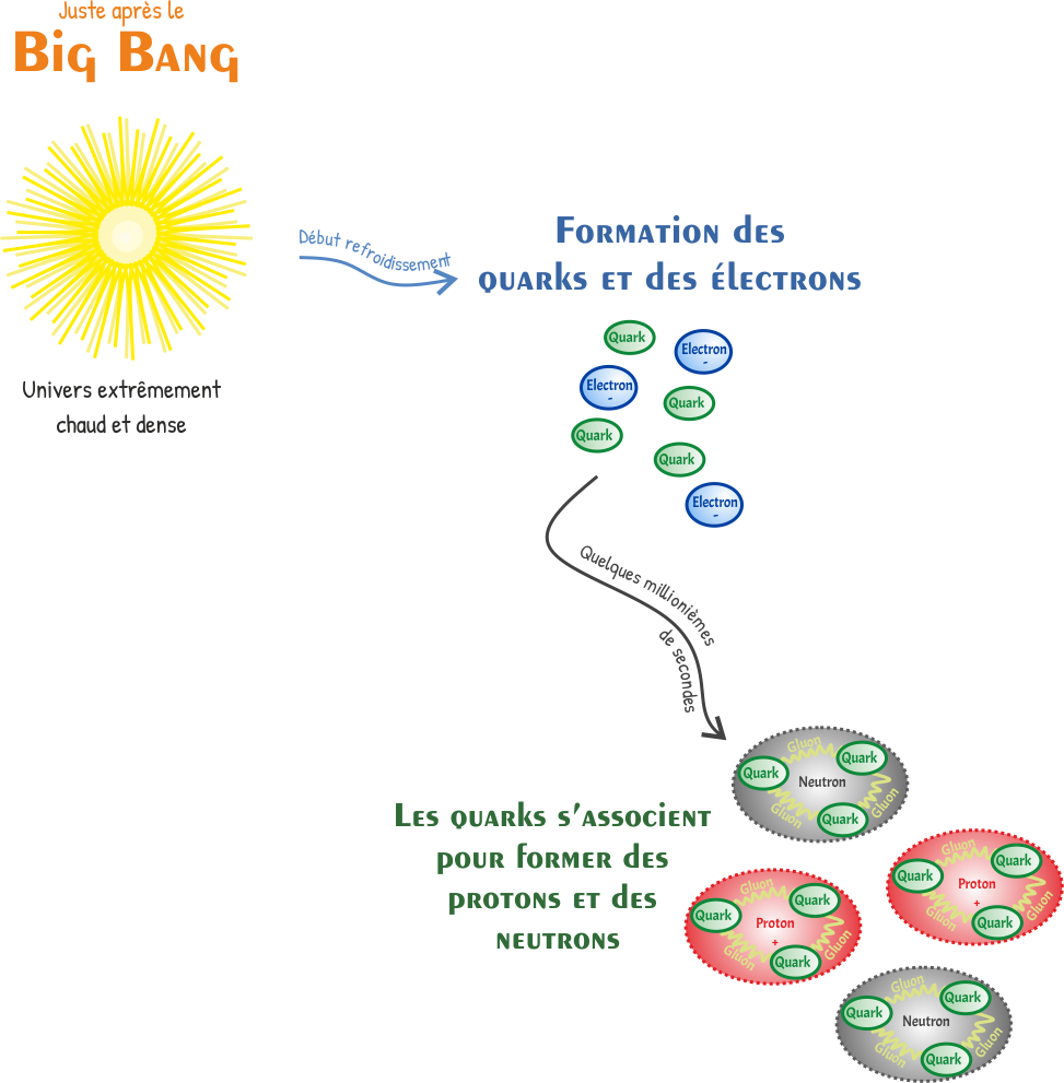 formation des premiers hadrons : les protons et les neutrons, par association des quarks entre eux