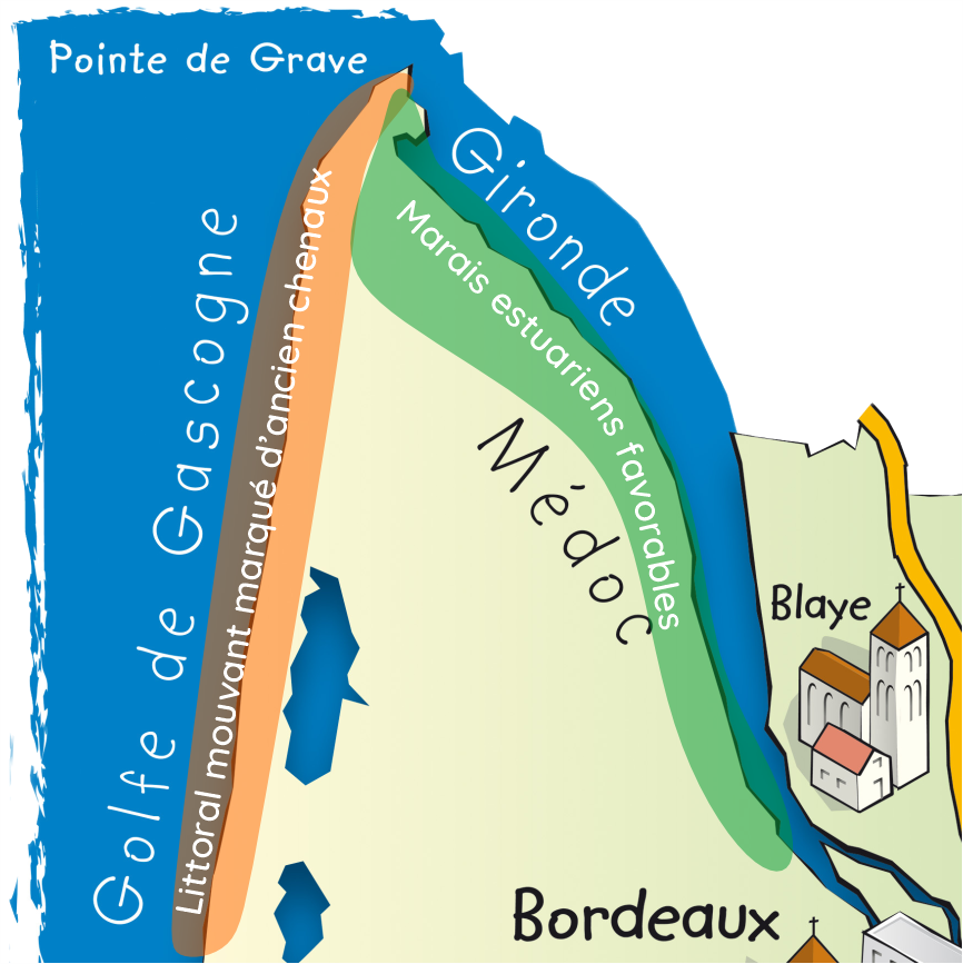 Habiter les marais estuariens à l’âge du Fer