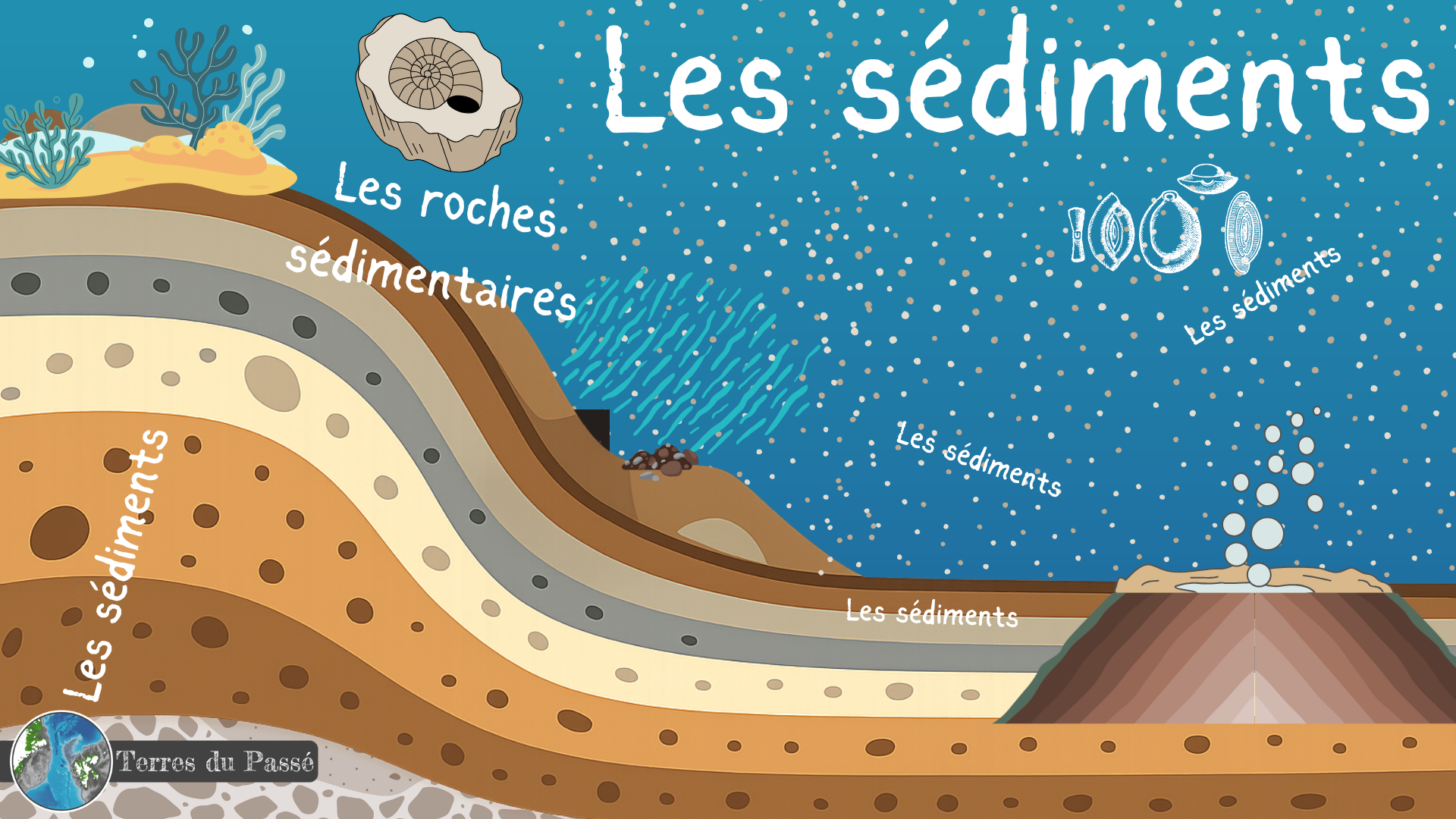 Les sédiments et roches sédimentaires - illustration