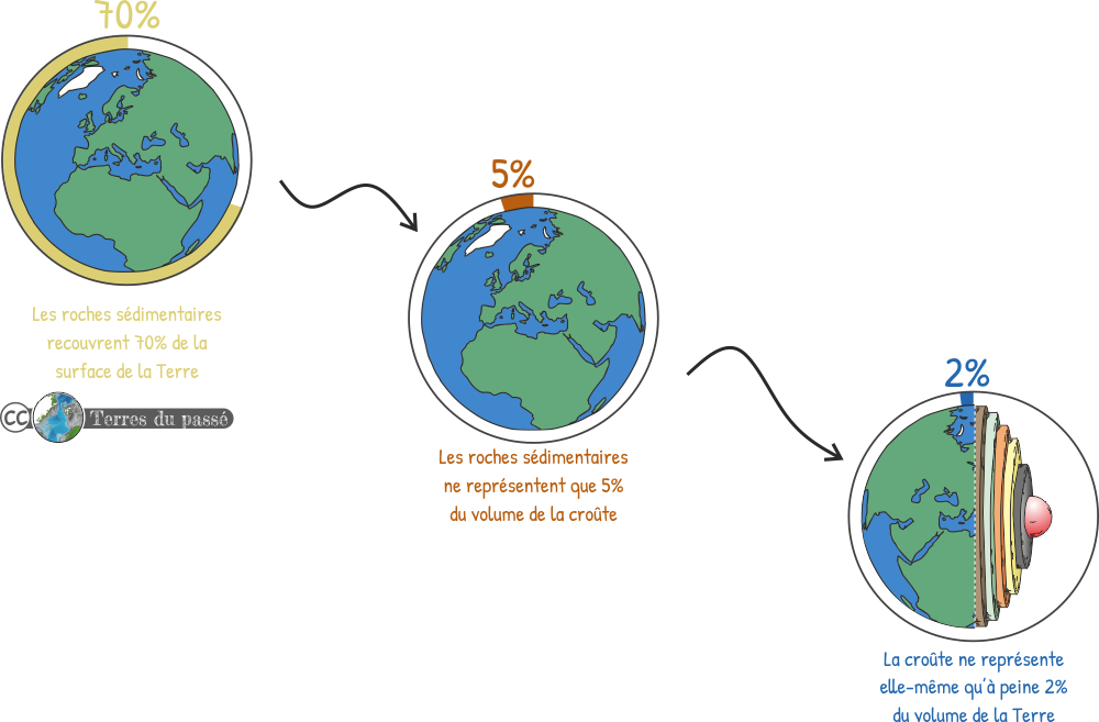 Les roches sédimentaires représente 70% des terres émergées, le reste ce sont des roches magmatiques