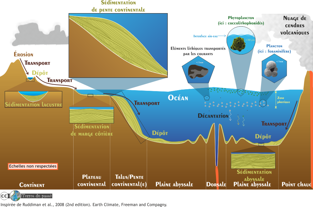 sédimentation dans les mers et océans
