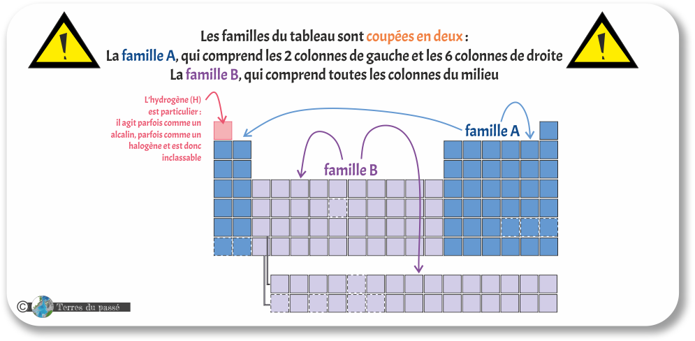 Les familles du tableau sont coupées en deux :  La famille A, qui comprend les 2 colonnes de gauche et les 6 colonnes de droite La famille B, qui comprend toutes les colonnes du milieu