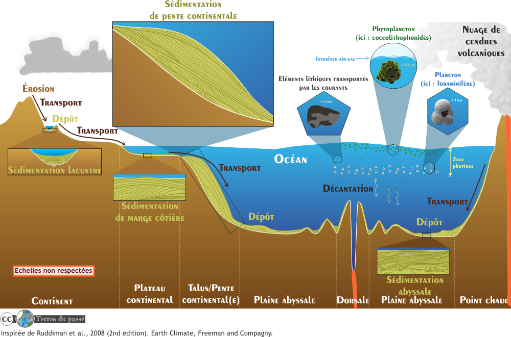 s-dimentation-profonde-terres-du-pass-l-histoire-de-notre-terre-et