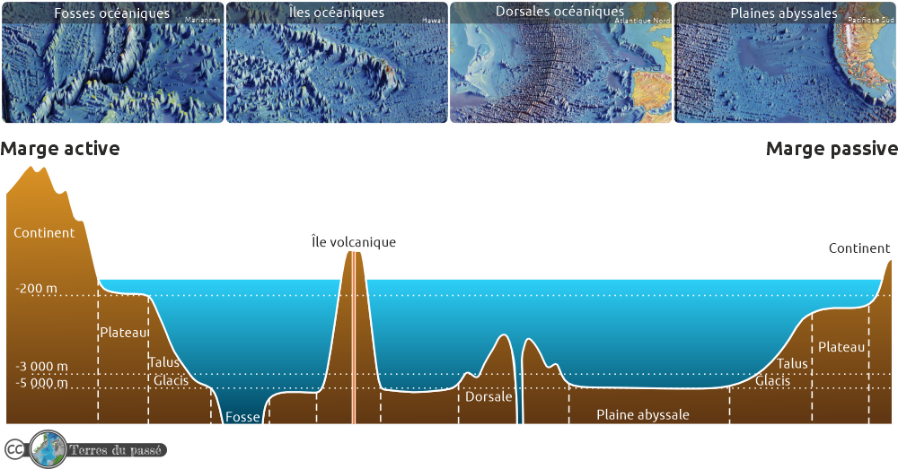 Coupe physiographique du fond de la mer